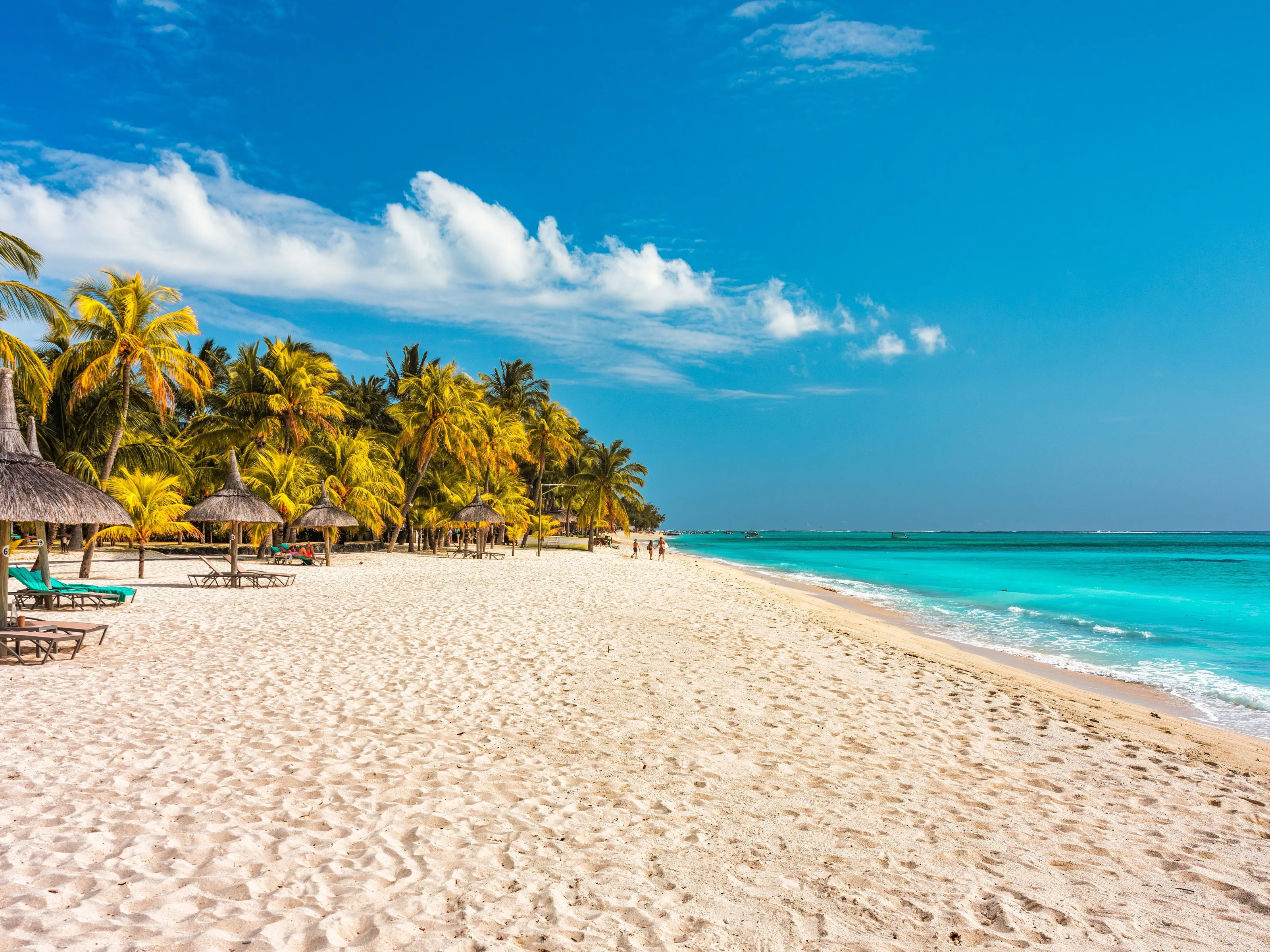 毛里求斯旅游指南2026 | 攻略、费用与当地资讯